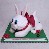 G.9.c BUNNY - Birthday Cakes - WILTON PATISSERIE